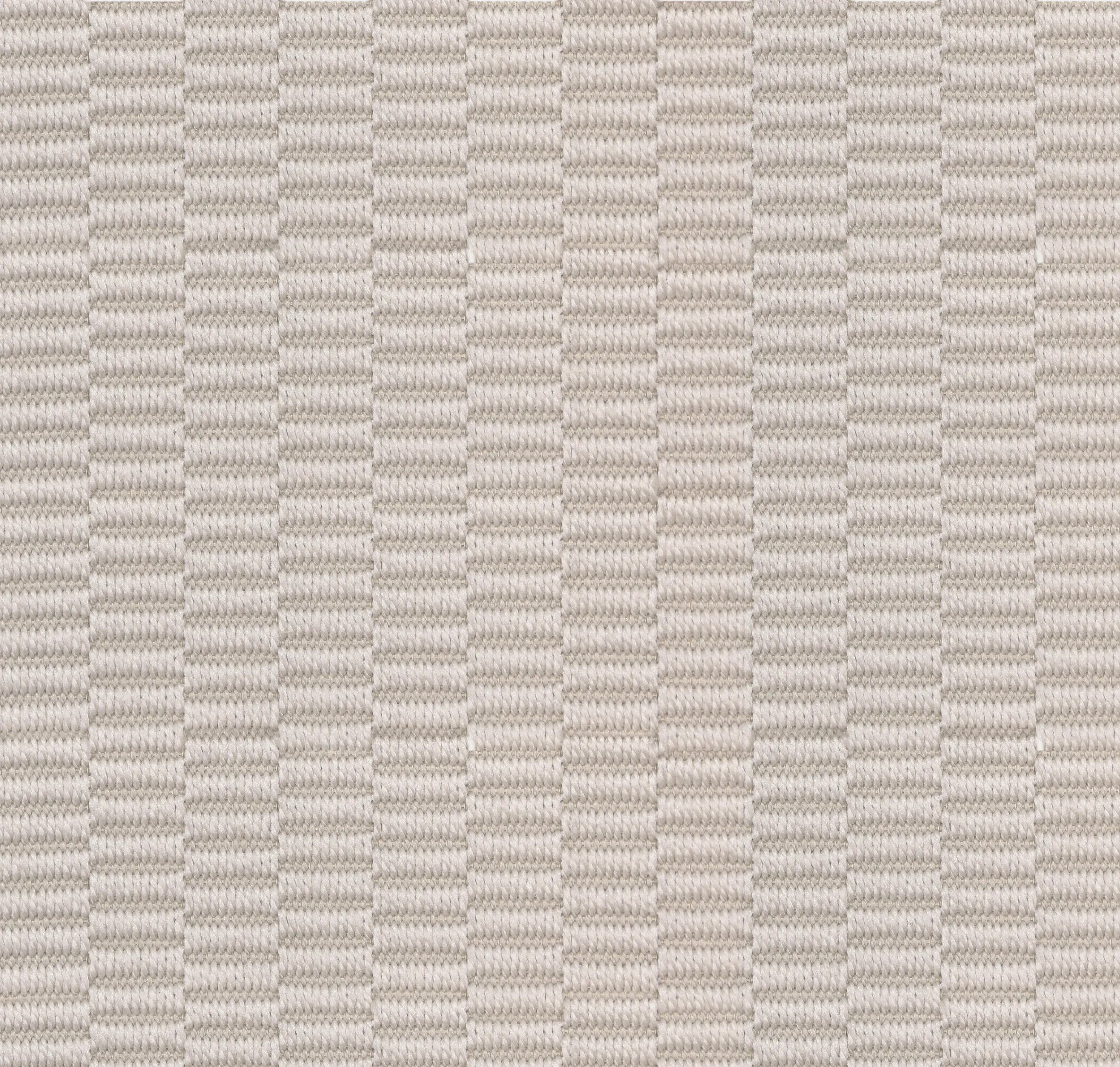 Oyster swatch