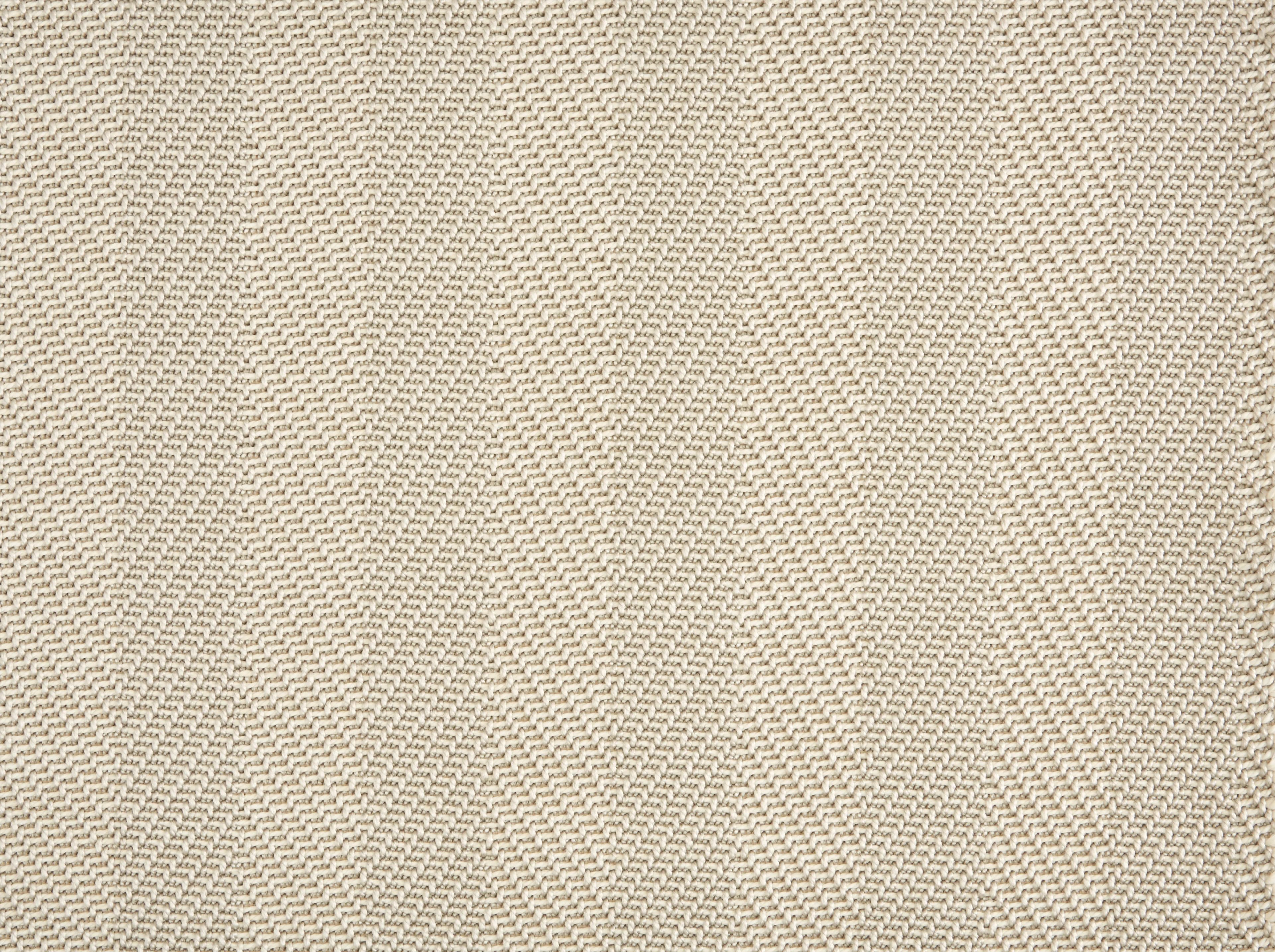 Oyster swatch